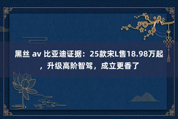 黑丝 av 比亚迪证据：25款宋L售18.98万起，升级高阶智驾，成立更香了