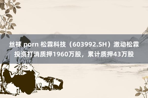 丝袜 porn 松霖科技（603992.SH）激动松霖投资打消质押1960万股，累计质押43万股