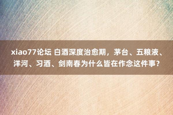 xiao77论坛 白酒深度治愈期，茅台、五粮液、洋河、习酒、剑南春为什么皆在作念这件事？