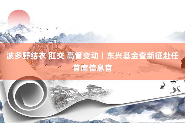 波多野结衣 肛交 高管变动丨东兴基金查新征赴任首席信息官