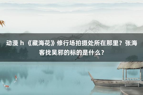 动漫 h 《藏海花》修行场拍摄处所在那里？张海客找吴邪的标的是什么？