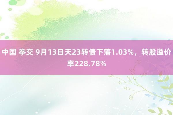 中国 拳交 9月13日天23转债下落1.03%，转股溢价率228.78%