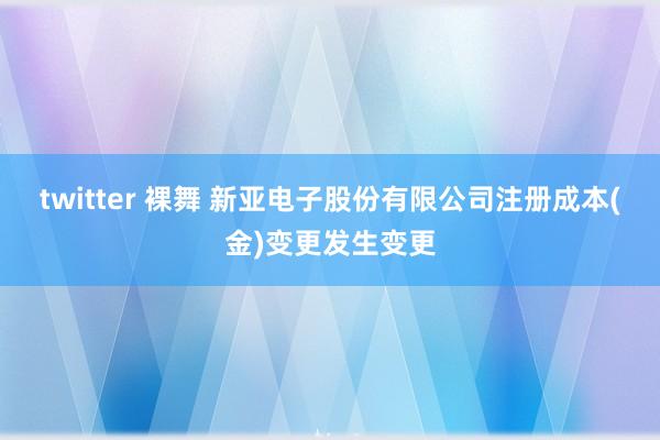 twitter 裸舞 新亚电子股份有限公司注册成本(金)变更发生变更