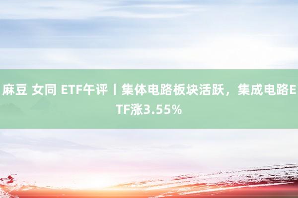 麻豆 女同 ETF午评丨集体电路板块活跃，集成电路ETF涨3.55%