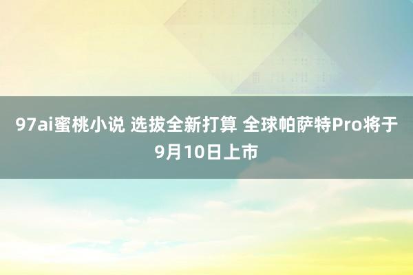 97ai蜜桃小说 选拔全新打算 全球帕萨特Pro将于9月10日上市