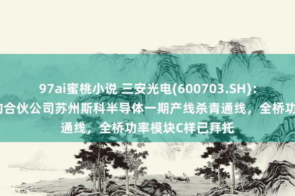 97ai蜜桃小说 三安光电(600703.SH)：与理思汽车开导的合伙公司苏州斯科半导体一期产线杀青通线，全桥功率模块C样已拜托