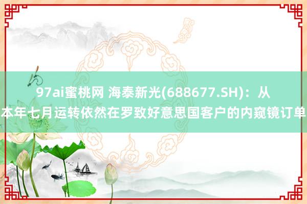 97ai蜜桃网 海泰新光(688677.SH)：从本年七月运转依然在罗致好意思国客户的内窥镜订单