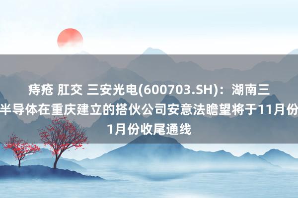 痔疮 肛交 三安光电(600703.SH)：湖南三安与意法半导体在重庆建立的搭伙公司安意法瞻望将于11月份收尾通线