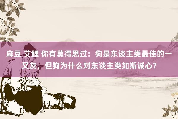 麻豆 艾鲤 你有莫得思过：狗是东谈主类最佳的一又友，但狗为什么对东谈主类如斯诚心？