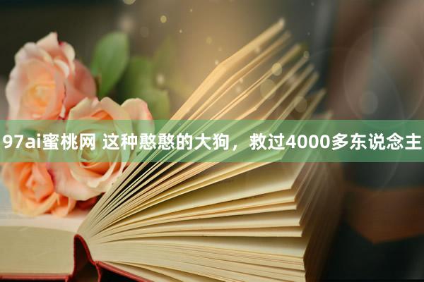 97ai蜜桃网 这种憨憨的大狗，救过4000多东说念主