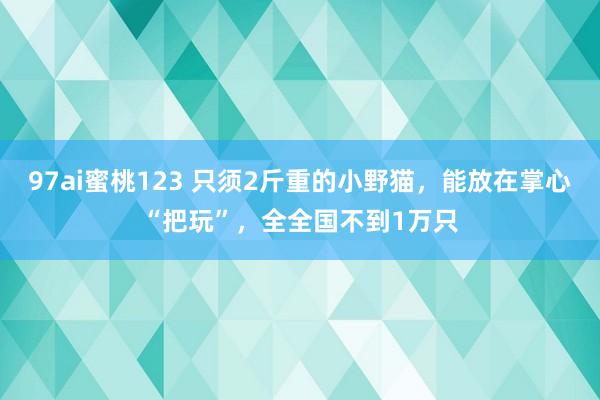 97ai蜜桃123 只须2斤重的小野猫，能放在掌心“把玩”，全全国不到1万只