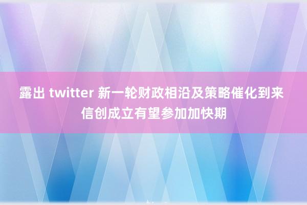 露出 twitter 新一轮财政相沿及策略催化到来 信创成立有望参加加快期