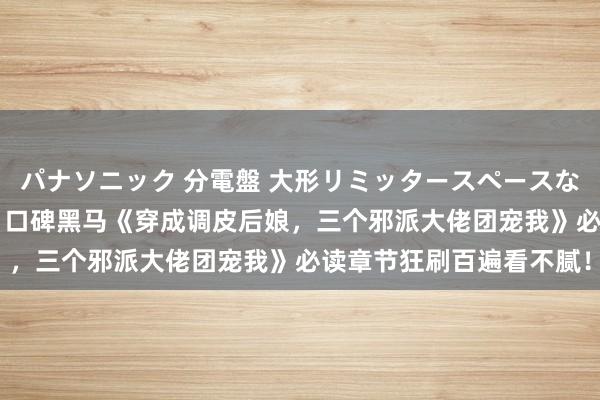 パナソニック 分電盤 大形リミッタースペースなし 露出・半埋込両用形 口碑黑马《穿成调皮后娘，三个邪派大佬团宠我》必读章节狂刷百遍看不腻！