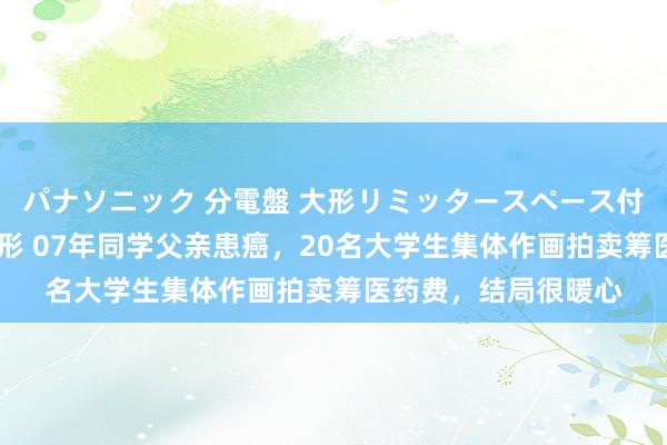 パナソニック 分電盤 大形リミッタースペース付 露出・半埋込両用形 07年同学父亲患癌，20名大学生集体作画拍卖筹医药费，结局很暖心