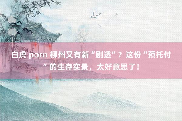 白虎 porn 柳州又有新“剧透”？这份“预托付”的生存实景，太好意思了！