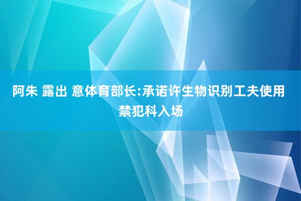 阿朱 露出 意体育部长:承诺许生物识别工夫使用 禁犯科入场