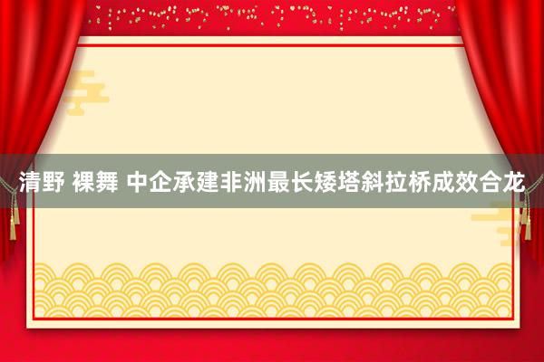 清野 裸舞 中企承建非洲最长矮塔斜拉桥成效合龙