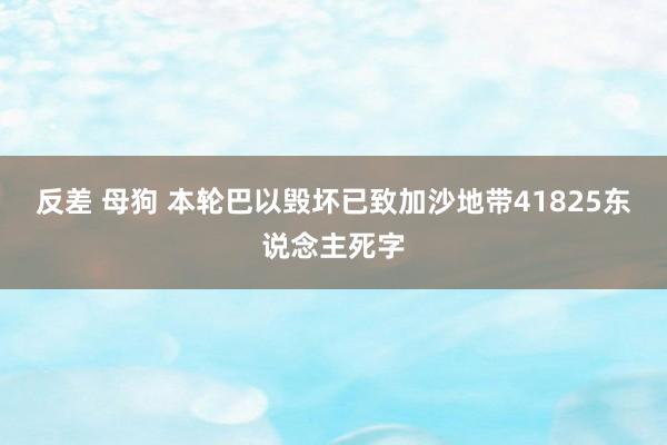 反差 母狗 本轮巴以毁坏已致加沙地带41825东说念主死字