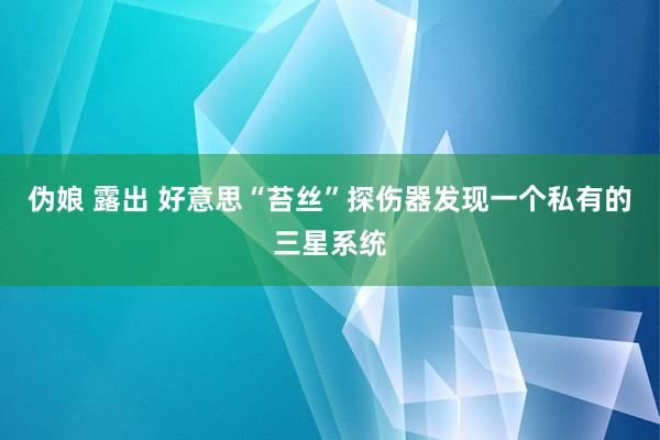 伪娘 露出 好意思“苔丝”探伤器发现一个私有的三星系统