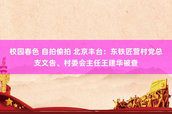 校园春色 自拍偷拍 北京丰台：东铁匠营村党总支文告、村委会主任王建华被查