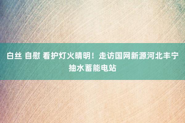 白丝 自慰 看护灯火晴明！走访国网新源河北丰宁抽水蓄能电站