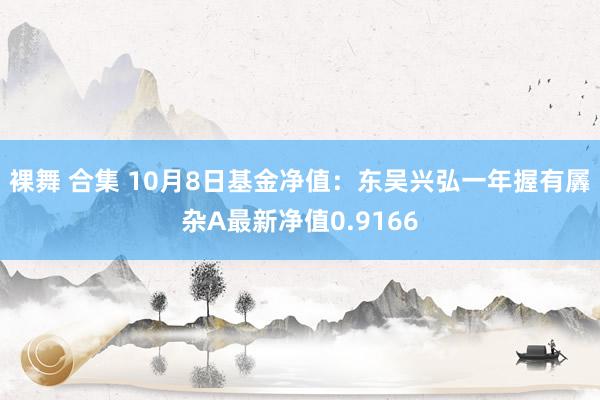 裸舞 合集 10月8日基金净值：东吴兴弘一年握有羼杂A最新净值0.9166