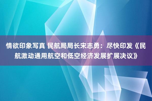 情欲印象写真 民航局局长宋志勇：尽快印发《民航激动通用航空和低空经济发展扩展决议》