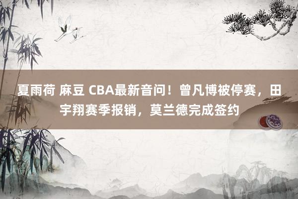 夏雨荷 麻豆 CBA最新音问！曾凡博被停赛，田宇翔赛季报销，莫兰德完成签约