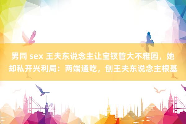 男同 sex 王夫东说念主让宝钗管大不雅园，她却私开兴利局：两端通吃，刨王夫东说念主根基