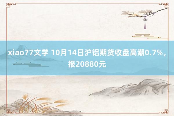 xiao77文学 10月14日沪铝期货收盘高潮0.7%，报20880元