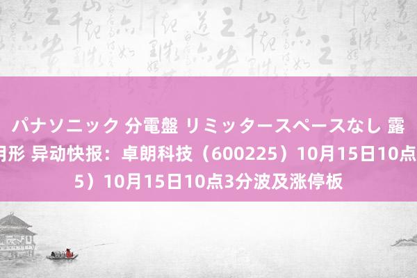 パナソニック 分電盤 リミッタースペースなし 露出・半埋込両用形 异动快报：卓朗科技（600225）10月15日10点3分波及涨停板