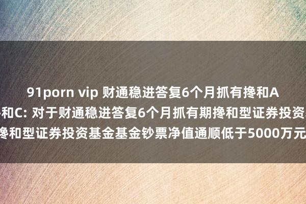 91porn vip 财通稳进答复6个月抓有搀和A，财通稳进答复6个月抓有搀和C: 对于财通稳进答复6个月抓有期搀和型证券投资基金基金钞票净值通顺低于5000万元的领导性公告