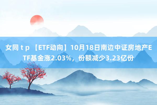 女同 t p 【ETF动向】10月18日南边中证房地产ETF基金涨2.03%，份额减少3.23亿份