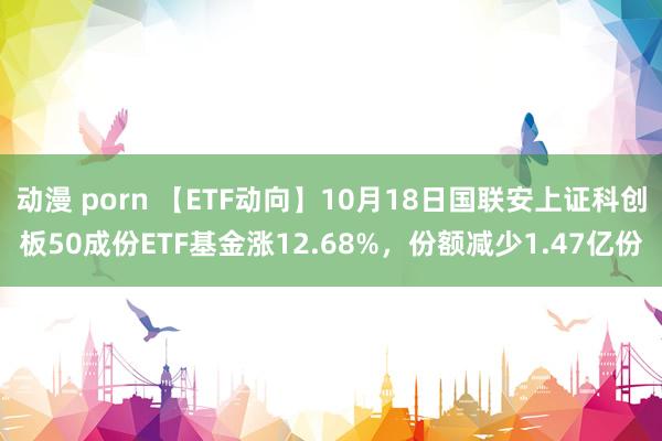 动漫 porn 【ETF动向】10月18日国联安上证科创板50成份ETF基金涨12.68%，份额减少1.47亿份