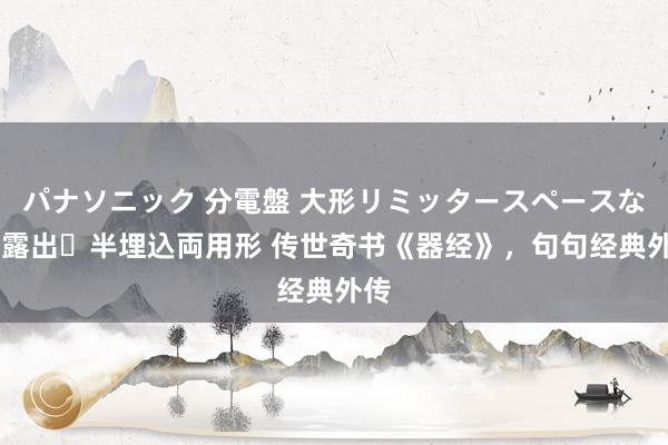 パナソニック 分電盤 大形リミッタースペースなし 露出・半埋込両用形 传世奇书《器经》，句句经典外传