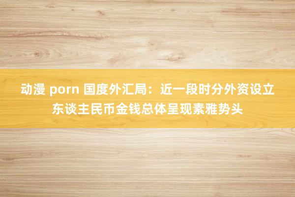 动漫 porn 国度外汇局：近一段时分外资设立东谈主民币金钱总体呈现素雅势头