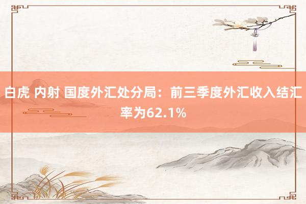 白虎 内射 国度外汇处分局：前三季度外汇收入结汇率为62.1%