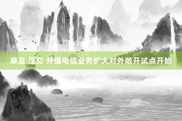 麻豆 足交 升值电信业务扩大对外敞开试点开始