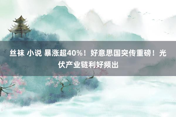 丝袜 小说 暴涨超40%！好意思国突传重磅！光伏产业链利好频出