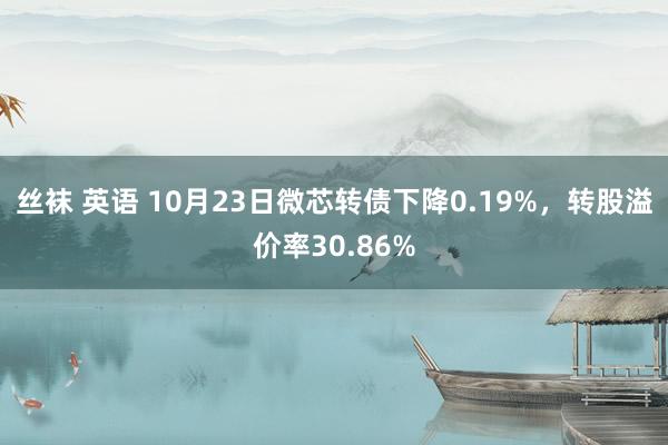 丝袜 英语 10月23日微芯转债下降0.19%，转股溢价率30.86%