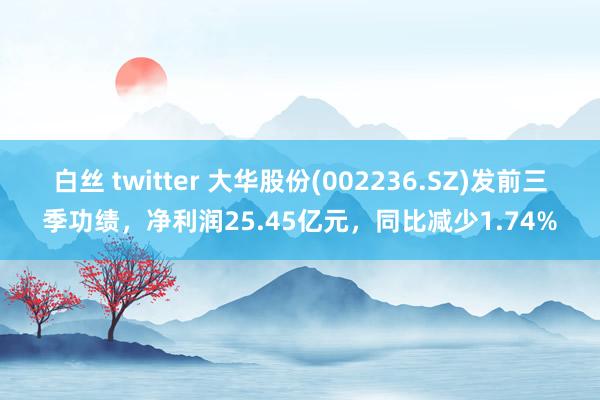 白丝 twitter 大华股份(002236.SZ)发前三季功绩，净利润25.45亿元，同比减少1.74%