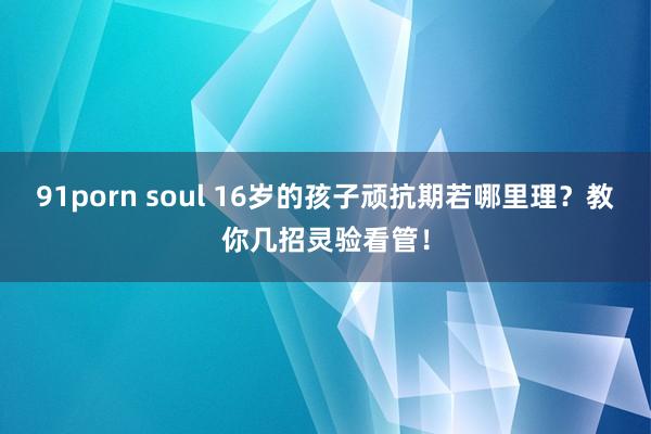 91porn soul 16岁的孩子顽抗期若哪里理？教你几招灵验看管！