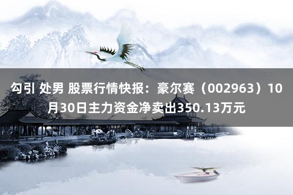 勾引 处男 股票行情快报：豪尔赛（002963）10月30日主力资金净卖出350.13万元