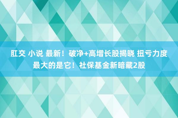 肛交 小说 最新！破净+高增长股揭晓 扭亏力度最大的是它！社保基金新暗藏2股