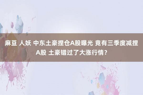 麻豆 人妖 中东土豪捏仓A股曝光 竟有三季度减捏A股 土豪错过了大涨行情？