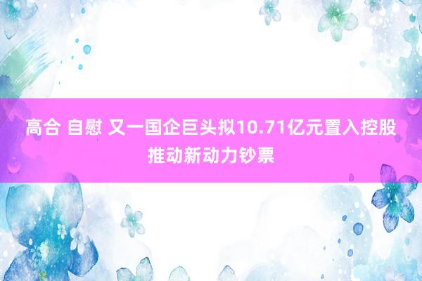 高合 自慰 又一国企巨头拟10.71亿元置入控股推动新动力钞票