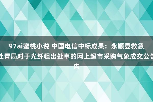 97ai蜜桃小说 中国电信中标成果：永顺县救急处置局对于光纤租出处事的网上超市采购气象成交公告