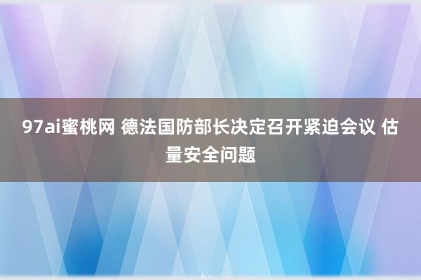 97ai蜜桃网 德法国防部长决定召开紧迫会议 估量安全问题