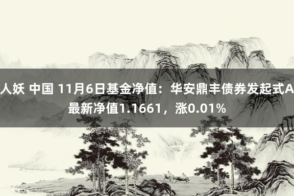 人妖 中国 11月6日基金净值：华安鼎丰债券发起式A最新净值1.1661，涨0.01%