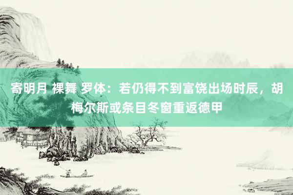 寄明月 裸舞 罗体：若仍得不到富饶出场时辰，胡梅尔斯或条目冬窗重返德甲